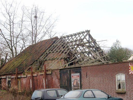 Falconcrest Roofvogel Park